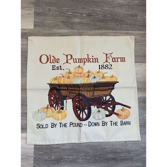 Fall Decor Pillow COVER 22”x22”, Decorative Thanksgiving Home PUMPKIN NEW Lapen - Picture 1 of 2